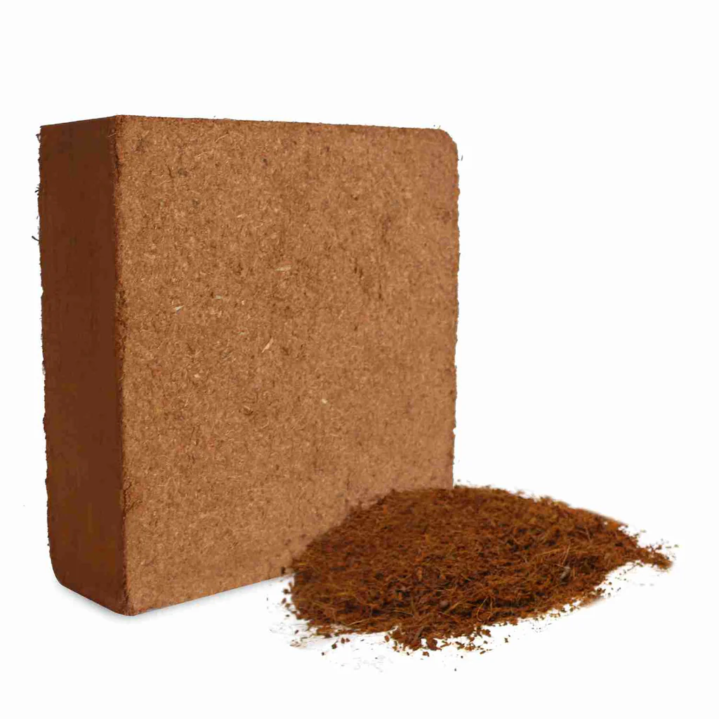 Cocopeat is a high-quality, natural, and eco-friendly growing medium made from the fibrous husks of coconuts. Carefully processed, washed, and sieved, it provides a clean, uniform, and pH-balanced substrate that retains moisture efficiently while ensuring excellent aeration. This creates an ideal environment for strong root development, prevents overwatering, and improves soil structure. Cocopeat is perfect for a variety of applications including horticulture, hydroponics, nursery propagation, landscaping, and soil conditioning. Sustainably sourced and slow to decompose, it offers long-lasting performance and consistent support for healthy, vigorous plant growth.