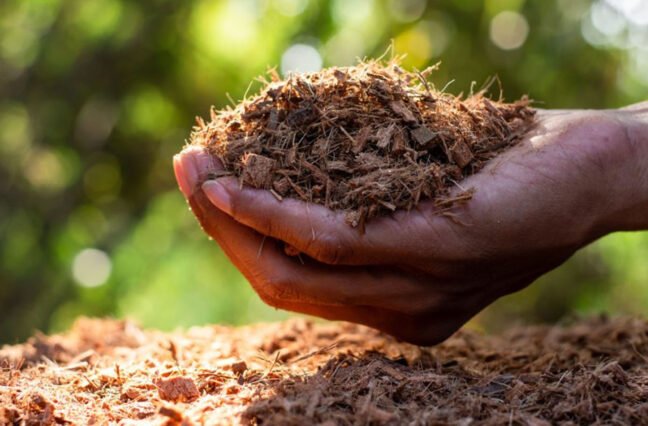 There are many variations of passages of Lorem Ipsum available, but majority have suffered teration in some form, by injected humour, or randomised words which don't look even slight believable. If you are going to use a passage of Lorem Ipsum.